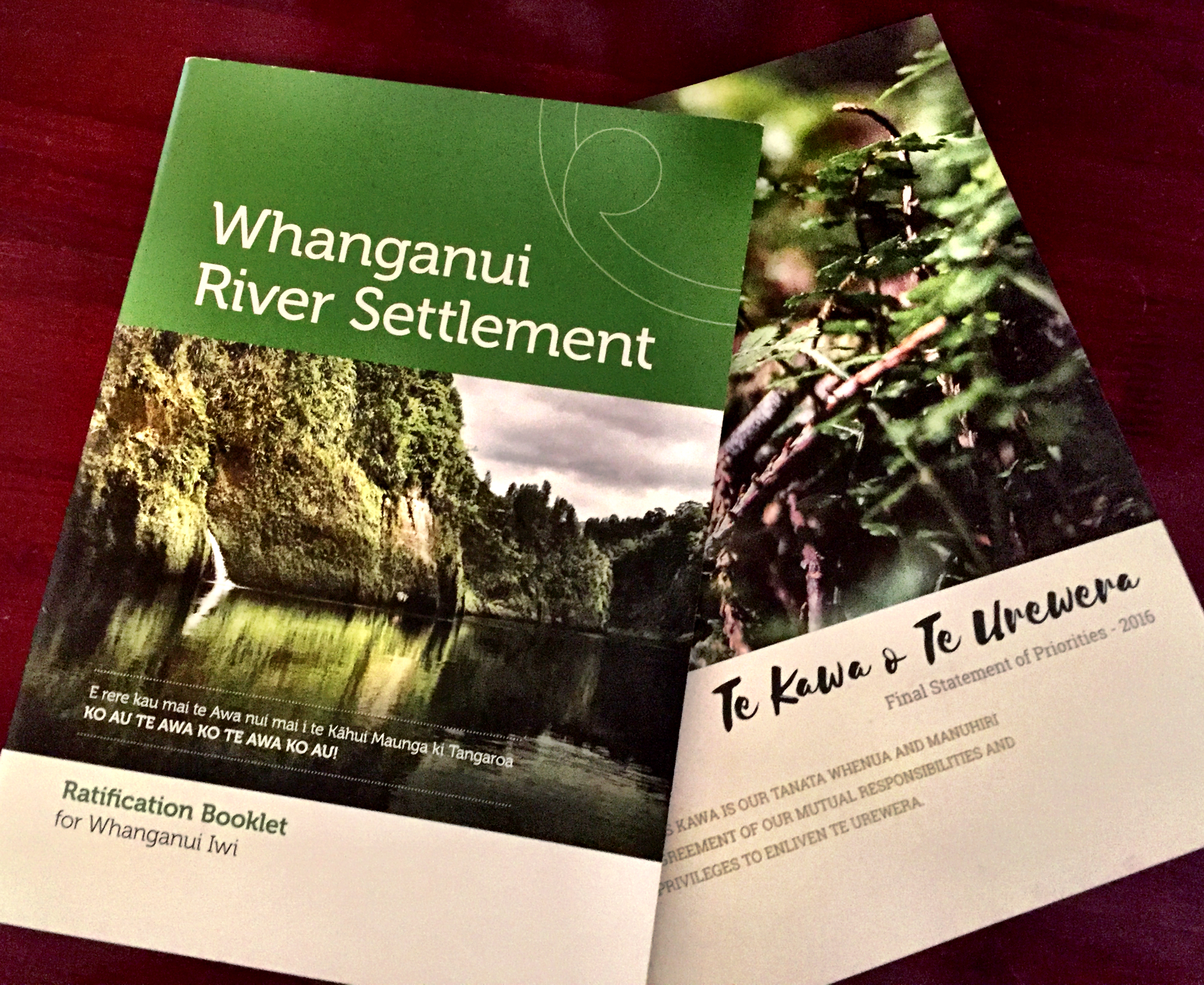 Rivers, Rights and Revolution: Learning from the Māori 