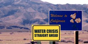 Read more about the article CALIFORNIA DROUGHT: A PRECURSOR OF THINGS TO COME
