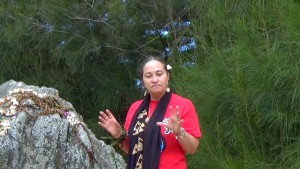 Pua story at Waimea Rock image