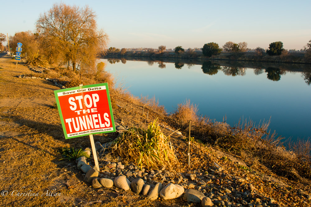 You are currently viewing What would the Delta Say? Putting California’s Twin Tunnels on Trial