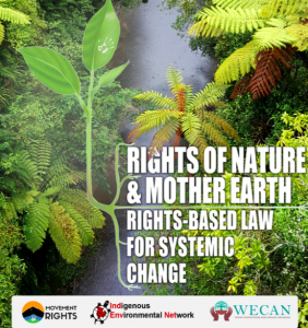 Read more about the article New Report Shows Rights of Nature Emerges as Alternative to UN Climate Framework