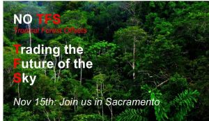Read more about the article Join us Nov 16 in Sacramento: Forest Offsets / Carbon Trading = Climate Disruption